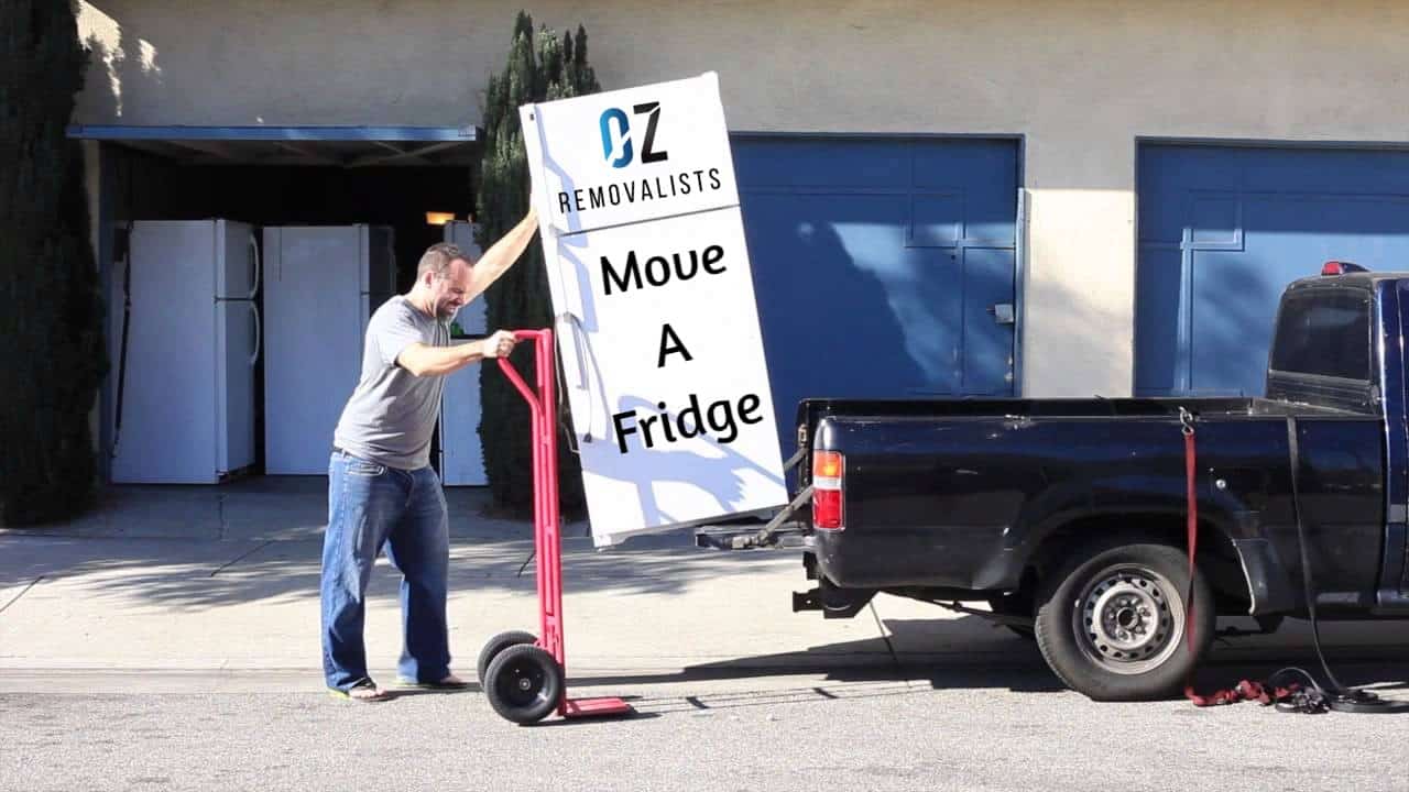 move-a-fridge-1