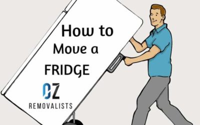 How to Move a Fridge