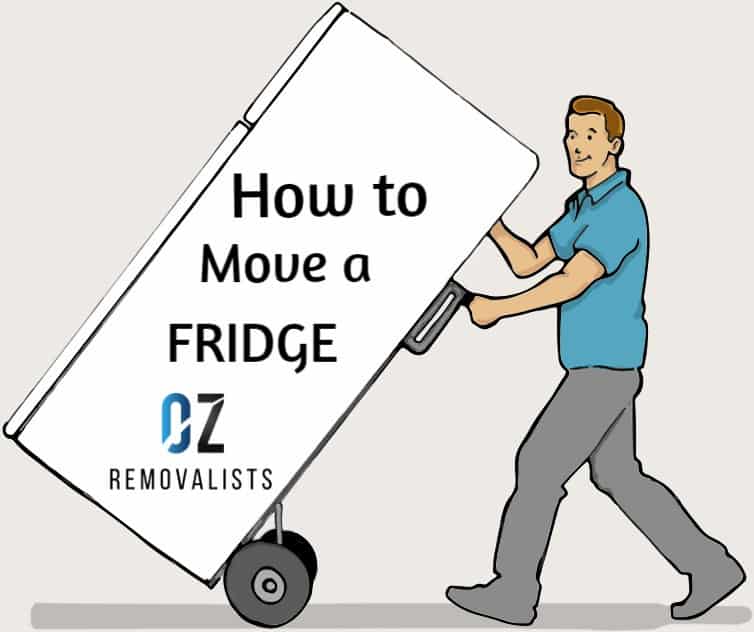 moving-fridge